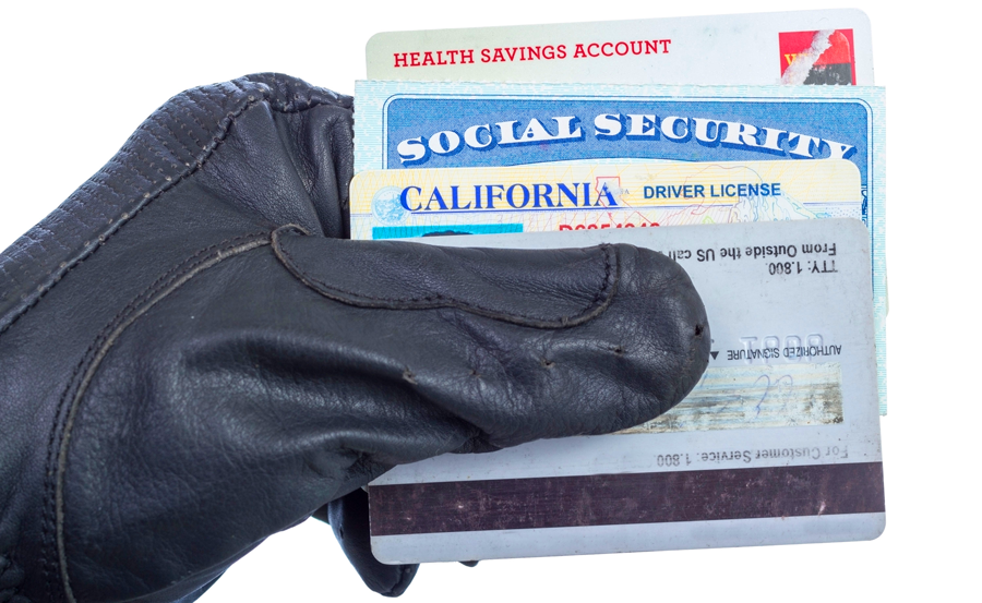 Gloved hand holding stolen driver's license, social security and health ID cards