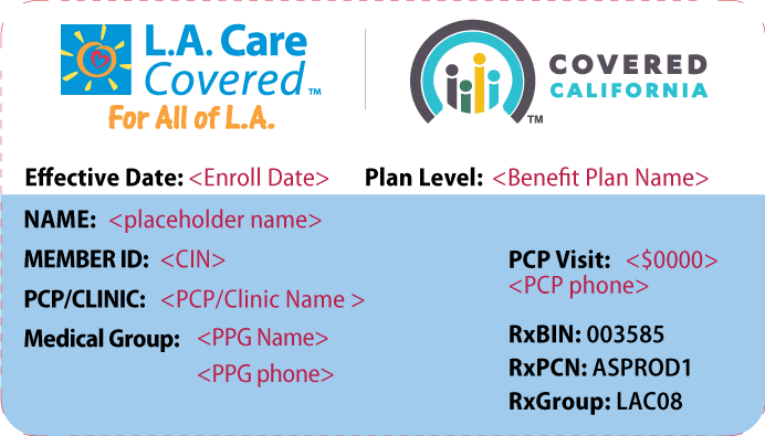 Louisiana Medicaid Card Image | www.paulmartinsmith.com