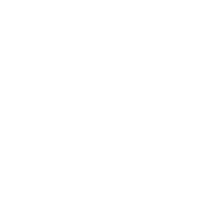 heart in sun icon