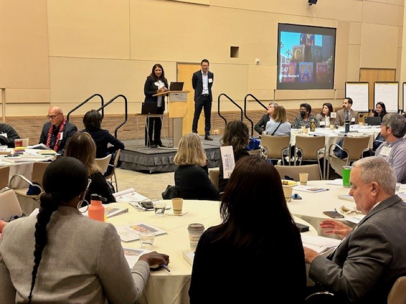 Children's Health Disparities Roundtable - Dr. Alex Li and Dr. Mona Patel