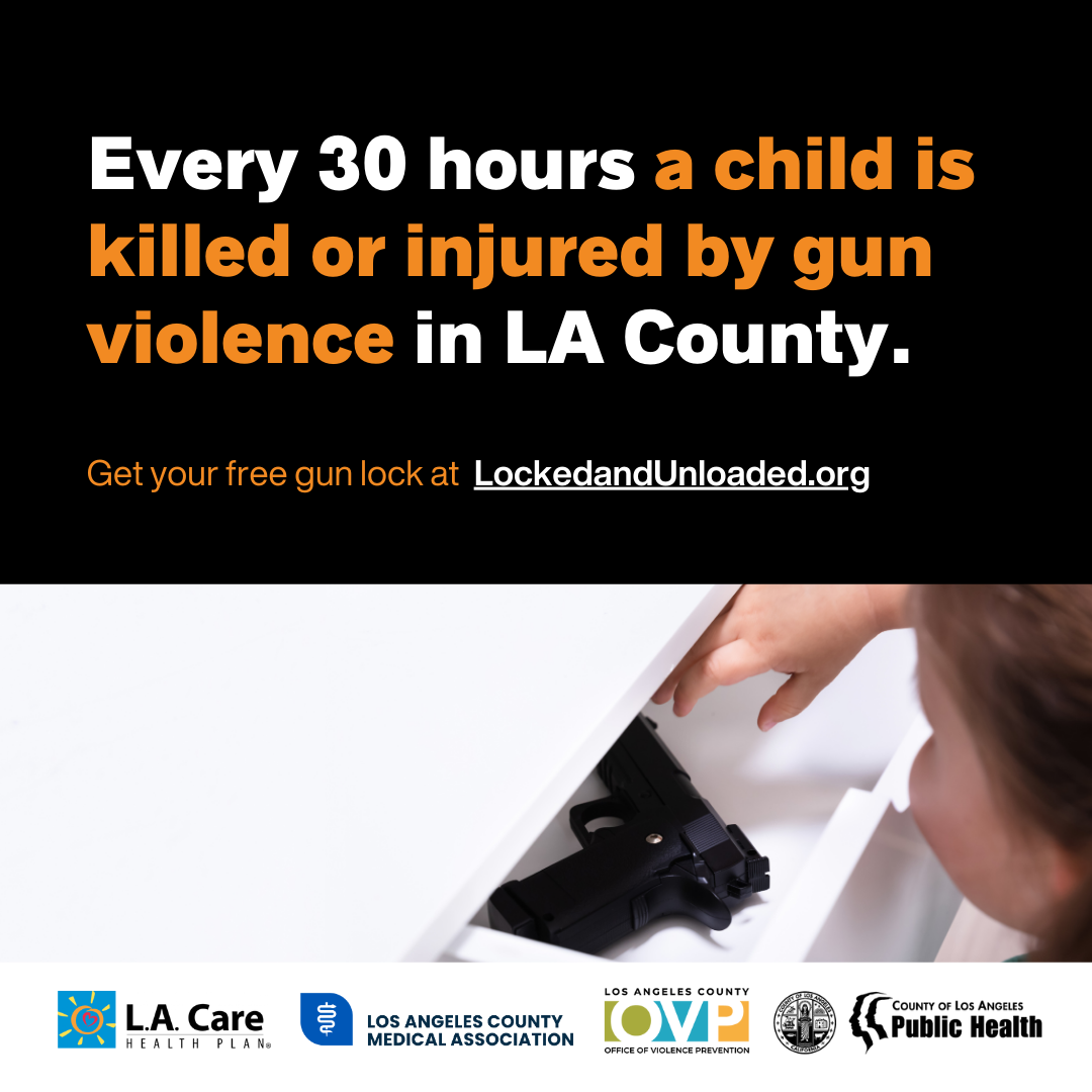OVP Gun Safety