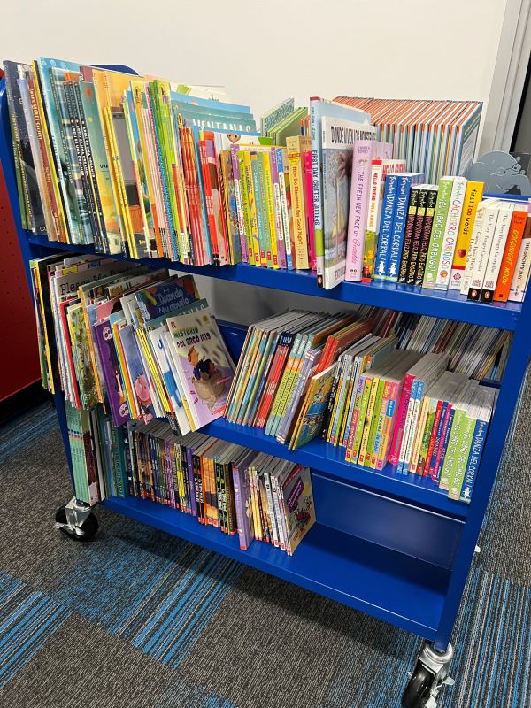 Access Books on Rolling Shelf